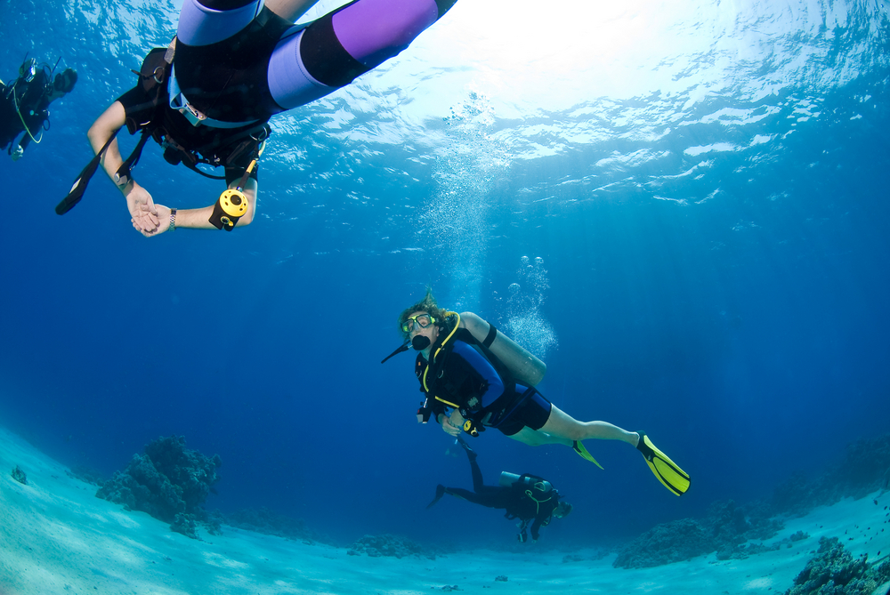 Shutterstock 7273948